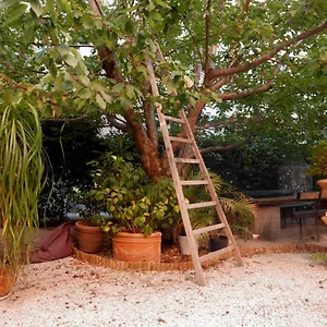 Guest house Jardin Vieux Port Panier